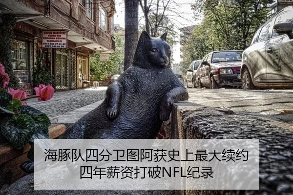 海豚队四分卫图阿获史上最大续约 四年薪资打破NFL纪录（CBA）
